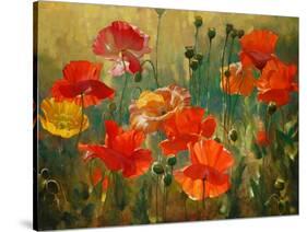 Poppy Fields-Emma Styles-Stretched Canvas