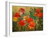 Poppy Fields-Emma Styles-Framed Art Print