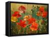 Poppy Fields-Emma Styles-Framed Stretched Canvas