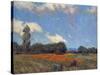 Poppy Fields-Granville Redmond-Stretched Canvas