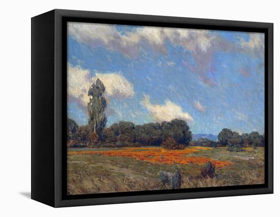 Poppy Fields-Granville Redmond-Framed Stretched Canvas