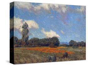 Poppy Fields-Granville Redmond-Stretched Canvas