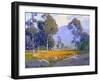 Poppy Fields-Paul Lauritz-Framed Art Print