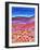 Poppy Fields-Caroline Duncan-Framed Giclee Print