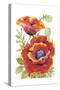 Poppy Floral I-Tim O'toole-Stretched Canvas