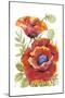 Poppy Floral I-Tim O'toole-Mounted Art Print