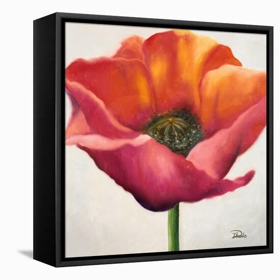 Poppy Flower I-Patricia Pinto-Framed Stretched Canvas