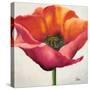 Poppy Flower I-Patricia Pinto-Stretched Canvas