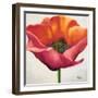 Poppy Flower I-Patricia Pinto-Framed Art Print