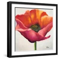 Poppy Flower I-Patricia Pinto-Framed Art Print