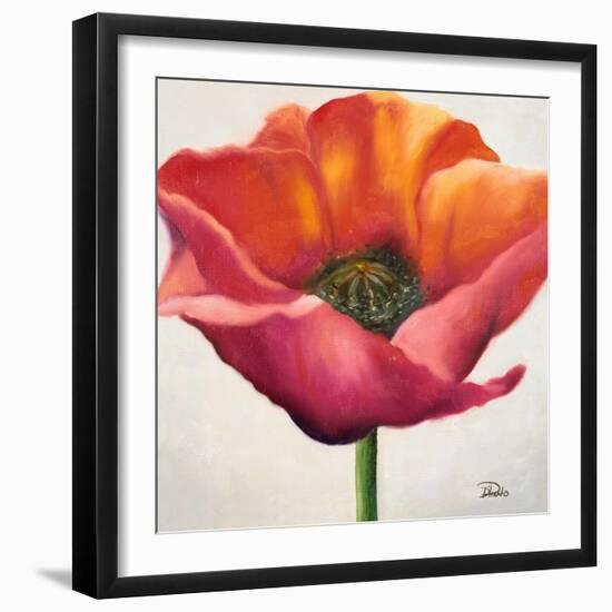 Poppy Flower I-Patricia Pinto-Framed Art Print