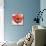 Poppy Flower I-Patricia Pinto-Mounted Art Print displayed on a wall