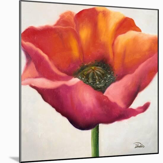 Poppy Flower I-Patricia Pinto-Mounted Art Print