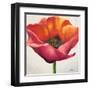 Poppy Flower I-Patricia Pinto-Framed Art Print