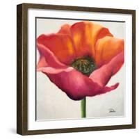 Poppy Flower I-Patricia Pinto-Framed Premium Giclee Print