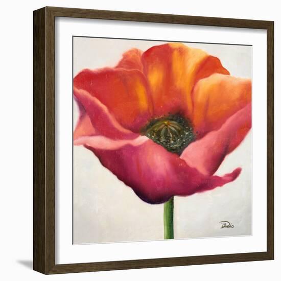 Poppy Flower I-Patricia Pinto-Framed Premium Giclee Print