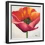 Poppy Flower I-Patricia Pinto-Framed Premium Giclee Print