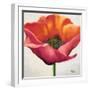 Poppy Flower I-Patricia Pinto-Framed Premium Giclee Print