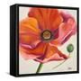 Poppy Flower II-Patricia Pinto-Framed Stretched Canvas