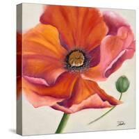 Poppy Flower II-Patricia Pinto-Stretched Canvas