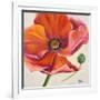 Poppy Flower II-Patricia Pinto-Framed Art Print