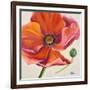 Poppy Flower II-Patricia Pinto-Framed Art Print