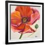 Poppy Flower II-Patricia Pinto-Framed Art Print