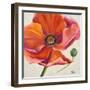 Poppy Flower II-Patricia Pinto-Framed Art Print