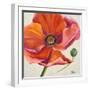 Poppy Flower II-Patricia Pinto-Framed Art Print