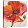 Poppy Flower II-Patricia Pinto-Stretched Canvas