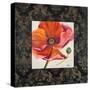 Poppy Flower II-Patricia Pinto-Stretched Canvas