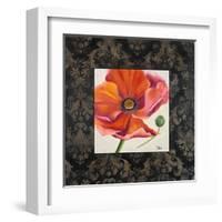 Poppy Flower II-Patricia Pinto-Framed Art Print