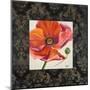Poppy Flower II-Patricia Pinto-Mounted Art Print