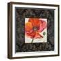 Poppy Flower II-Patricia Pinto-Framed Art Print