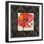 Poppy Flower II-Patricia Pinto-Framed Art Print