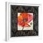 Poppy Flower II-Patricia Pinto-Framed Art Print