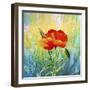 Poppy Flower-Ata Alishahi-Framed Giclee Print