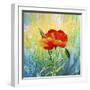 Poppy Flower-Ata Alishahi-Framed Giclee Print