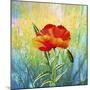 Poppy Flower-Ata Alishahi-Mounted Giclee Print