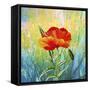 Poppy Flower-Ata Alishahi-Framed Stretched Canvas