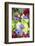 Poppy-Flowered Anemone, Usa-Lisa S Engelbrecht-Framed Photographic Print