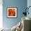 Poppy Flowers 2-Ata Alishahi-Framed Giclee Print displayed on a wall