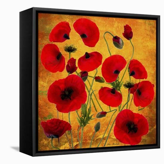 Poppy Flowers 2-Ata Alishahi-Framed Stretched Canvas