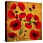 Poppy Flowers 2-Ata Alishahi-Stretched Canvas