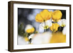 Poppy Flowers Abstract-Incredi-Framed Giclee Print