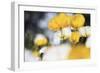 Poppy Flowers Abstract-Incredi-Framed Giclee Print