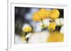 Poppy Flowers Abstract-Incredi-Framed Giclee Print