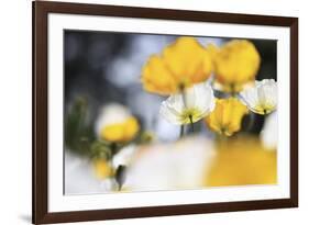 Poppy Flowers Abstract-Incredi-Framed Giclee Print