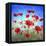 Poppy Flowers Field-Ata Alishahi-Framed Stretched Canvas