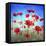 Poppy Flowers Field-Ata Alishahi-Framed Stretched Canvas